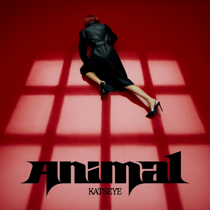 Animal cover